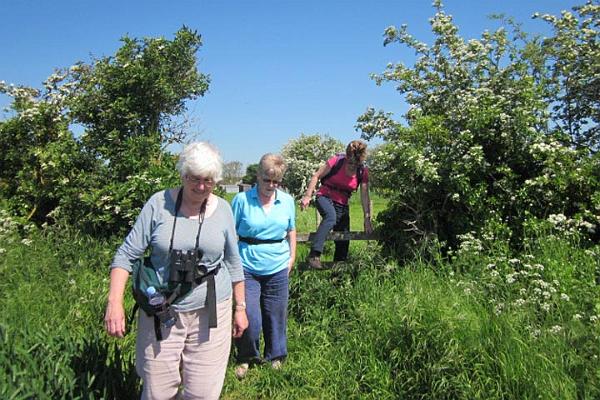8. Judith, Jane and Mary make short work of the stile.JPG -                                